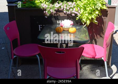 Table et chaises avec une posie de fleurs et deux citrouilles Banque D'Images