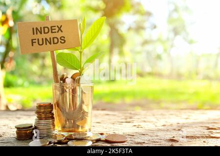 Investissement sur fonds indiciels. Pièces de monnaie dans un pot avec terre et plante en pleine croissance dans la nature. Banque D'Images