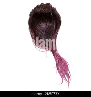 Cheveux humides fantaisie longs sur fond blanc isolé, rendu 3D, illustration 3D Banque D'Images