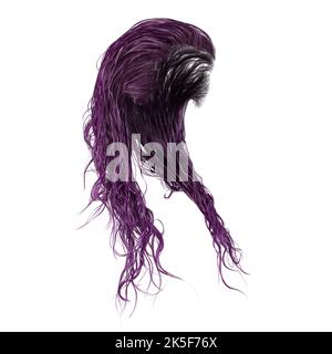 Cheveux humides fantaisie longs sur fond blanc isolé, rendu 3D, illustration 3D Banque D'Images