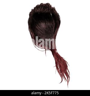 Cheveux humides fantaisie longs sur fond blanc isolé, rendu 3D, illustration 3D Banque D'Images