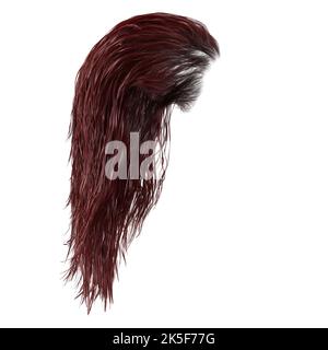 Cheveux humides fantaisie longs sur fond blanc isolé, rendu 3D, illustration 3D Banque D'Images