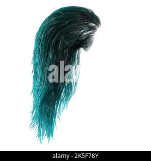 Cheveux humides fantaisie longs sur fond blanc isolé, rendu 3D, illustration 3D Banque D'Images