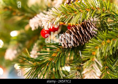 Cône de pin et branches. Un cône et un rowan rouge sur une branche d'épicéa décorations de près pour la nouvelle année et Noël Banque D'Images