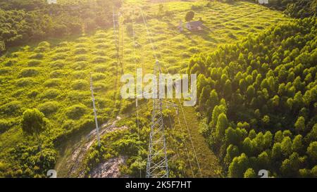 Vue aérienne des pylônes haute tension et des lignes électriques près d'une plantation d'eucalyptus en Thaïlande. Vue de dessus des poteaux haute tension dans la campagne près de gr Banque D'Images