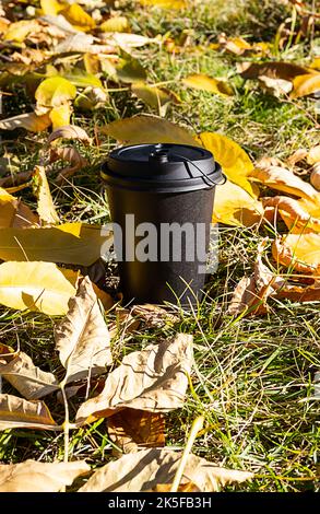 Maquette d'une tasse à café en papier contre des feuilles de couleur automnale. Tasse à café jetable, composition d'ambiance d'automne. Banque D'Images