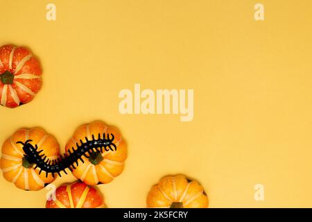 Concept symbole Halloween, Centipede sur le sourire effrayant citrouille sur fond jaune. Banque D'Images