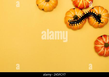 Concept symbole Halloween, Centipede sur le sourire effrayant citrouille sur fond jaune. Banque D'Images