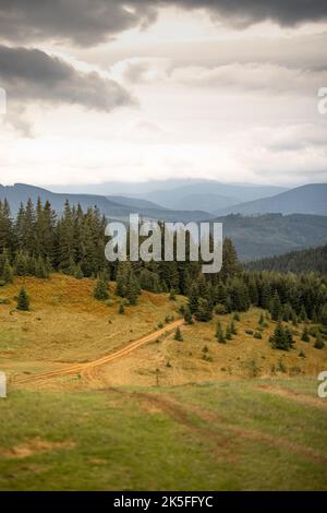 Prairie verte dans les montagnes Banque D'Images