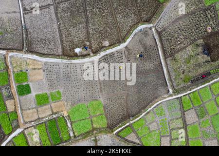 QIANDONGNAN, CHINE - 8 OCTOBRE 2022 - une photo aérienne montre un villageois travaillant dans un champ de Qiandongnan Miao et la préfecture autonome de Dong, Guizhou Banque D'Images