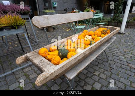 Copenhague, Danemark. Octobre 2022. Une composition typique faite avec des citrouilles décoratives sur un banc en bois dans le centre-ville Banque D'Images