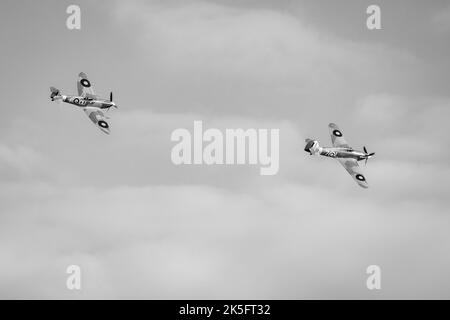 Spitfire 'AR501' Supermarine et Hawker Sea Hurricane 'Z7015' volant en formation lors du salon de l'aviation du jour de la course qui s'est tenu à Shuttleworth le 2nd octobre 2022 Banque D'Images