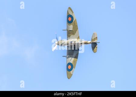 Supermarine Spitfire VC 'AR501' (G-AWII) en vol au salon aérien du jour de la course qui s'est tenu à l'aérodrome d'Old Warden, Shuttleworth, le 2nd octobre 2022 Banque D'Images
