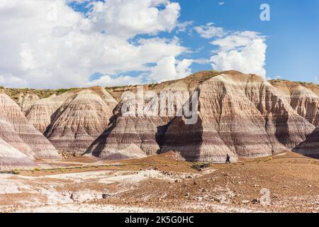 PARC NATIONAL DE LA FORÊT PÉTRIFIÉE, ARIZONA - 1 SEPTEMBRE 2022 : le sentier Blue Mesa Trail dans le parc national de la forêt pétrifiée, Arizona Banque D'Images