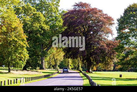 Dundee, Tayside, Écosse, Royaume-Uni. 8th octobre 2022. Météo au Royaume-Uni : le nord-est de l'Écosse est en pleine période de soleil d'octobre, avec des températures planant autour de 16°C. Les arbres du parc Camperdown et de la réserve d'animaux de Dundee commencent à se transformer en couleurs automnales. Les résidents locaux et les randonneurs profitent du beau temps tout en passant la journée dans le parc et en admirant le paysage d'automne. Crédit : Dundee Photographics/Alamy Live News Banque D'Images