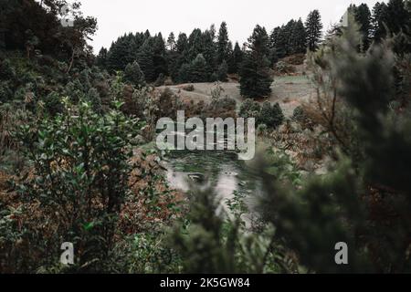 rivières et sources d'eaux bleues dans un paysage calme et calme au milieu de la verdure et de la nature sur un jour nuageux, sources bleues, nouvelle-zélande Banque D'Images