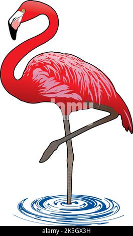flamants roses dans l'eau Illustration de Vecteur