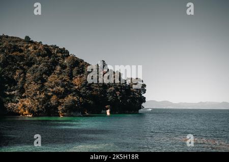 yacht naviguant au loin à côté des montagnes dans une mer calme et ondulée entourée par la végétation luxuriante de la forêt verte, abel tasman Banque D'Images