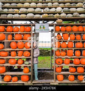 Haltern, Allemagne. 08th octobre 2022. Gisela, qui se balada à travers une porte de la « maison de citrouille » décorative, s'est rendue de Dortmund à proximité pour acheter des citrouilles à la ferme. Landhof Hawig, une ferme près de Haltern dans la campagne de Muensterland, produit jusqu'à 300 variétés différentes de citrouille chaque année et les vend au public, ainsi que de servir une variété de plats traditionnels de citrouille dans leur café. Credit: Imagetraceur/Alamy Live News Banque D'Images