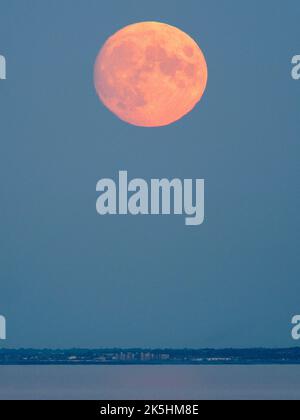 Warden Bay, Kent, Royaume-Uni. 8th octobre 2022. Météo au Royaume-Uni : la lune Hunter's presque pleine vue s'élevant au-dessus de la côte du Kent au-dessus de Margate et Reculver, photographiés depuis la baie de Warden, dans le Kent. Crédit : James Bell/Alay Live News Banque D'Images