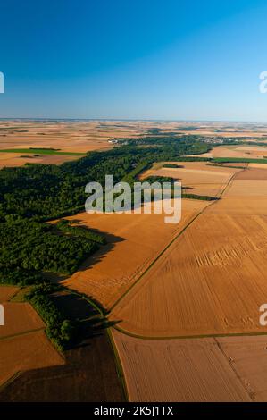 France, Essonne (91), Saclas, vue aérienne des plaines céréalières de la Beauce au début de l'été avant la récolte, au milieu de la vallée forestière de la Juine Banque D'Images