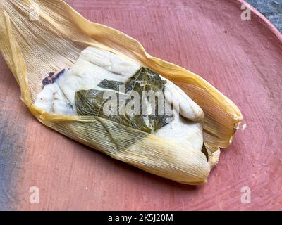 Un Oaxacan Tamal sur une assiette faite avec masa et hierba santa Banque D'Images