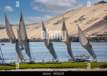 Feluccas, les bateaux d'excursion s'ancre sur les rives du Nil, près d'Assouan, Nil, Egypte Banque D'Images