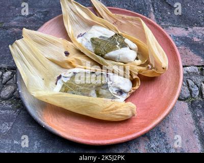 Deux tamales Oaxacan sur une plaque en argile faite avec le Hoja santa et rempli de haricots Banque D'Images