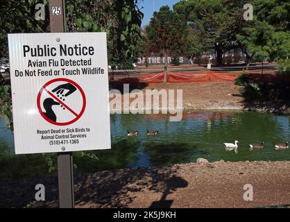 Étang de parc avec la sauvagine clôturée à Union City, en Californie et grippe aviaire détectée ne pas nourrir ou toucher le panneau d'avis public de la faune, signaler les oiseaux morts ou malades aux Services de contrôle des animaux Banque D'Images