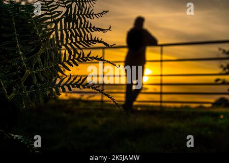 Kidderminster, Royaume-Uni. 8th octobre 2022. Météo au Royaume-Uni : un coucher de soleil doré ferme la journée après les températures chaudes dans tout le Royaume-Uni. Une femme se tient à la porte d'une ferme en regardant le soleil se coucher au loin. Crédit : Lee Hudson/Alay Live News Banque D'Images