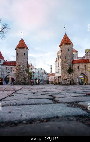 Coucher de soleil à la porte Viru, construite dans les 1300s, 2 grandes tours de guet couvertes de lierre marquent l'entrée de la vieille ville de Tallinn, Estonie. Banque D'Images