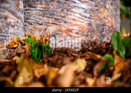 Hambourg, Allemagne. 08th octobre 2022. Deux sacs de feuilles remplis se tiennent entre les feuilles tombées sur le bord de la route. Le service de nettoyage de la ville de Hambourg commence lundi à recueillir les feuilles des ménages privés. Jusqu'au mois de décembre, des sacs avec des feuilles seront désormais collectés à cinq dates dans chaque quartier de Hambourg. Credit: Jonas Walzberg/dpa/Alay Live News Banque D'Images