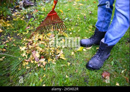 Hambourg, Allemagne. 08th octobre 2022. Une femme ramasse des feuilles colorées avec un râteau. Le service de nettoyage de la ville de Hambourg a commencé lundi à recueillir les feuilles des ménages privés. Jusqu'au mois de décembre, des sacs de feuilles seront désormais collectés à cinq dates dans chaque quartier de Hambourg. Credit: Jonas Walzberg/dpa/Alay Live News Banque D'Images