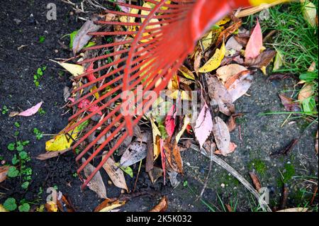 Hambourg, Allemagne. 08th octobre 2022. Un râteau ramasse des feuilles colorées. Le service de nettoyage de la ville de Hambourg commence lundi à recueillir les feuilles des ménages privés. Jusqu'au mois de décembre, des sacs de feuilles seront désormais collectés à cinq dates dans chaque quartier de Hambourg. Credit: Jonas Walzberg/dpa/Alay Live News Banque D'Images