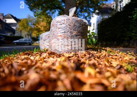 Hambourg, Allemagne. 08th octobre 2022. Deux sacs de feuilles remplis se tiennent entre les feuilles tombées sur le bord de la route. Le service de nettoyage de la ville de Hambourg commence lundi à recueillir les feuilles des ménages privés. Jusqu'au mois de décembre, des sacs avec des feuilles seront désormais collectés à cinq dates dans chaque quartier de Hambourg. Credit: Jonas Walzberg/dpa/Alay Live News Banque D'Images