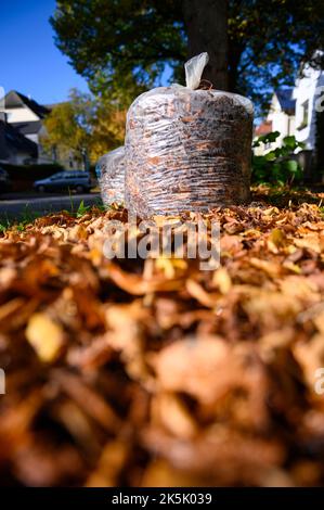 Hambourg, Allemagne. 08th octobre 2022. Deux sacs de feuilles remplis se tiennent entre les feuilles tombées sur le bord de la route. Le service de nettoyage de la ville de Hambourg commence lundi à recueillir les feuilles des ménages privés. Jusqu'au mois de décembre, des sacs avec des feuilles seront désormais collectés à cinq dates dans chaque quartier de Hambourg. Credit: Jonas Walzberg/dpa/Alay Live News Banque D'Images