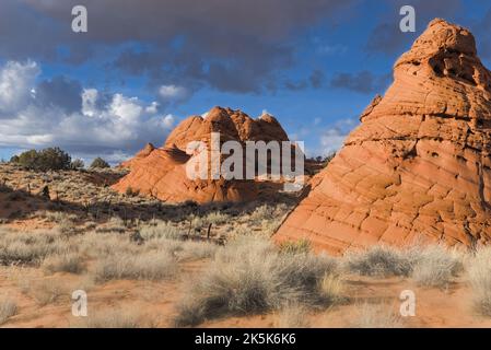 Formations rocheuses en pierre de sable rouge à Coyote Butts Sud. Banque D'Images