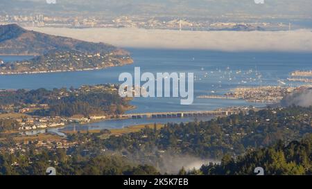 Vue sur la baie de San Francisco depuis le mont Tamalpais avec le brouillard de suspension bas. Banque D'Images