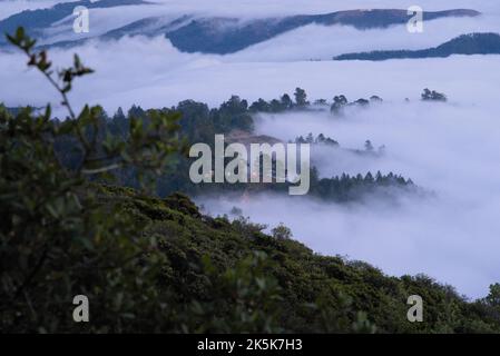 Vue aérienne des sommets de montagne couverts de brouillard. Banque D'Images