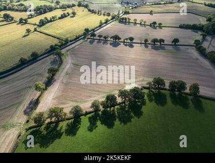 La lumière du soleil d'automne projette des ombres sur les terres agricoles du Worcestershire, vues depuis les airs. Champs de culture récoltés et pâturage encadrés par des arbres. Banque D'Images