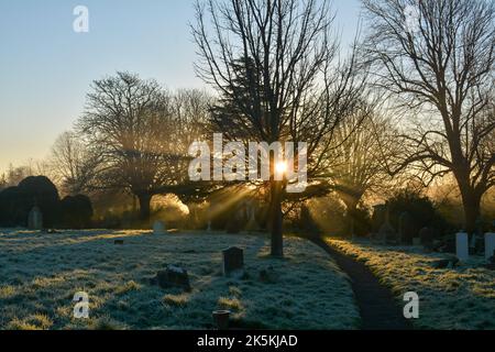 Des puits de lumière éclatent à travers les arbres un matin glacial dans un cimetière anglais créant une atmosphère effrayante. Banque D'Images