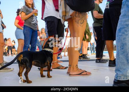 Jeune festiver avec son dachshund en tongs et tatouages Banque D'Images