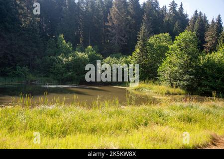 Arsiyan Highlands de la province d'Artvin de Turquie Banque D'Images