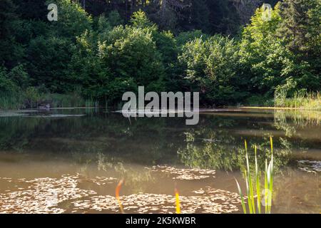 Arsiyan Highlands de la province d'Artvin de Turquie Banque D'Images