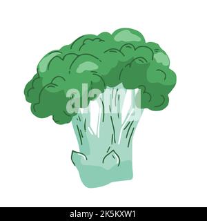 Icône d'illustration du vecteur de brocoli isolée sur blanc Illustration de Vecteur