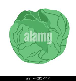 Chou avec de grandes feuilles de vert vif. Des aliments frais et sains. Nutrition végétarienne. Ingrédient biologique pour la salade. Icône de vecteur plat. Illustration de Vecteur