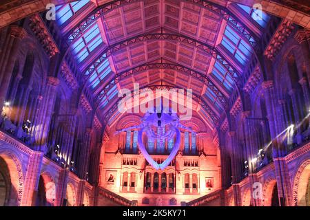 Blue Whale Skeleton nommé « Hope » dans Hintze Hall, Natural History Museum, Londres, Royaume-Uni Banque D'Images