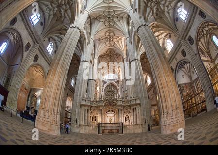 Nouvelle cathédrale de Salamanque, Salamanque, Espagne, Europe. Banque D'Images