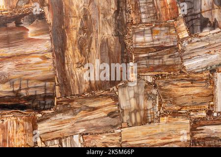 Dalle en bois pétrifié. Pierre semi-précieuse pour mur en céramique, carrelage numérique au sol. Texture du matériau pour un design intérieur et extérieur unique Banque D'Images