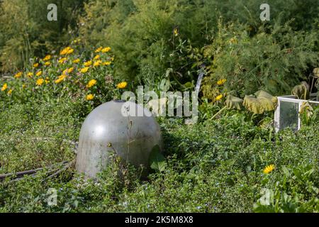 dôme de verre forçing bocal parmi les plantes pollinisateurs dans un jardin victorien Banque D'Images